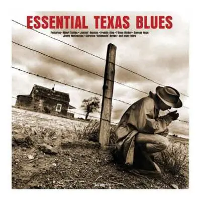 LP Various: Essential Texas Blues