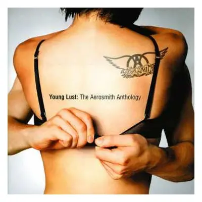 2CD Aerosmith: Young Lust: The Aerosmith Anthology