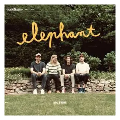 LP Elephant: Big Thing