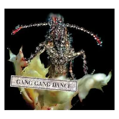 CD Gang Gang Dance: Eye Contact