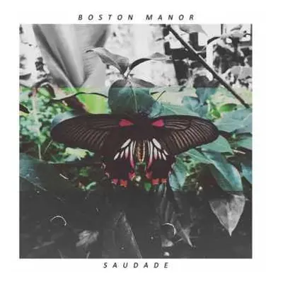 LP Boston Manor: Saudade CLR