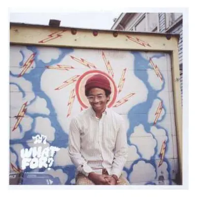 CD Toro Y Moi: What For?