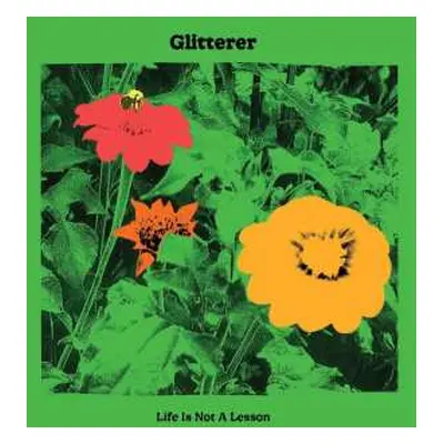 CD Glitterer: Life Is Not A Lesson