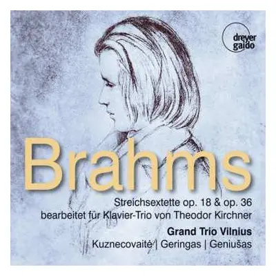 CD Johannes Brahms: Streichsextette Nr.1 & 2 (bearbeitet Für Klaviertrio Von Theodor Kirchner)