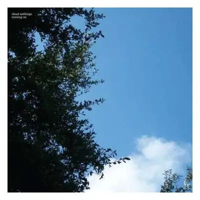 LP Cloud Nothings: Turning On LTD | CLR