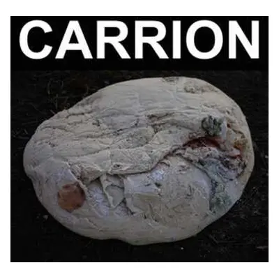 LP Recitation: Carrion