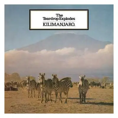 LP The Teardrop Explodes: Kilimanjaro