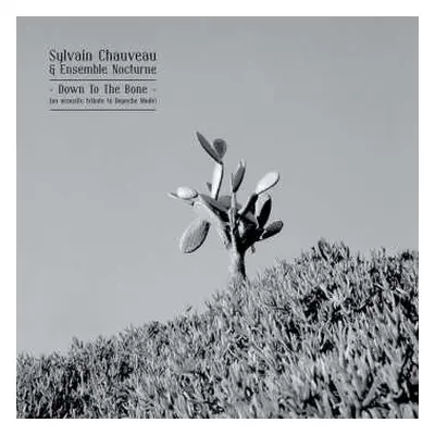 CD Sylvain Chauveau: Down To The Bone