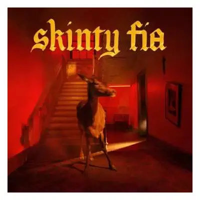 CD Fontaines D.C.: Skinty Fia