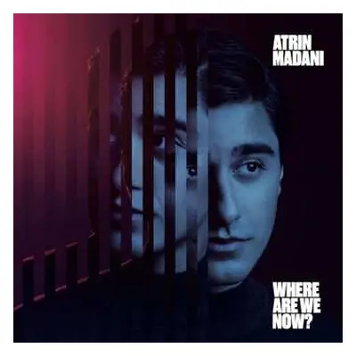 LP Atrin Madani: Where Are We Now?