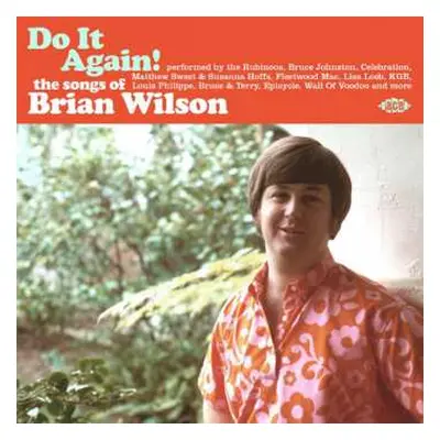 CD Various: Do It Again! The Songs Of Brian Wilson