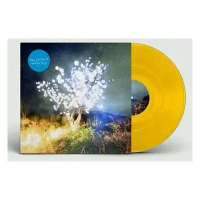 2LP The Notwist: Vertigo Days LTD | CLR