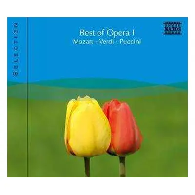 CD Various: Naxos Selection: Best Of Opera Vol.1