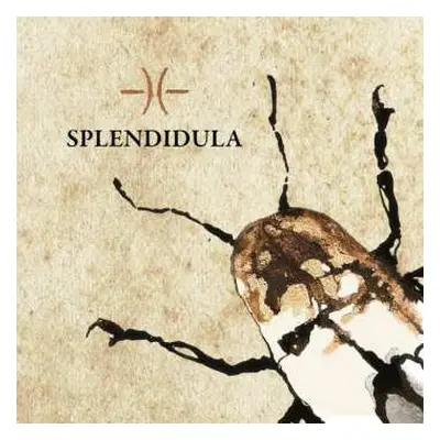 CD Splendidula: Splendidula