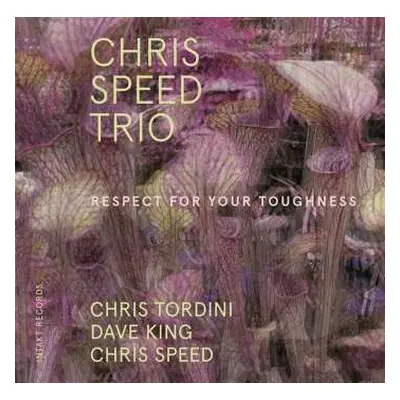 CD Chris Speed Trio: Respect For Your Toughness