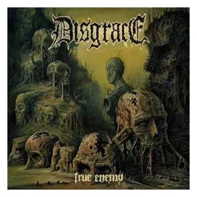 CD Disgrace: True Enemy