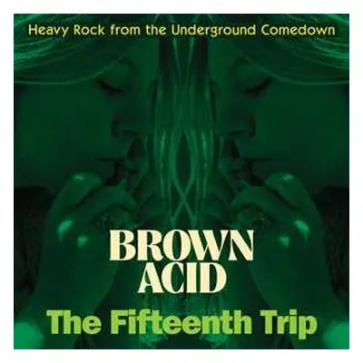 LP Various: Brown Acid: The Fifteenth Trip (Heavy Rock From The American Comedown Era)