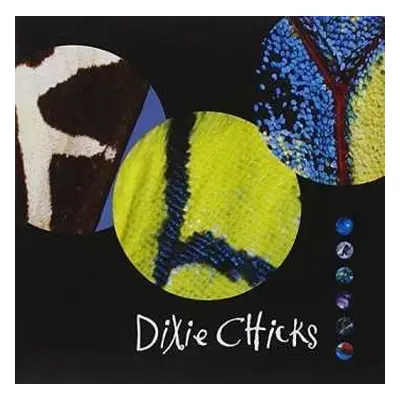 CD Dixie Chicks: Fly