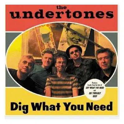 CD The Undertones: Dig What You Need