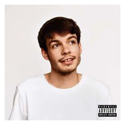 LP Rex Orange County: Pony