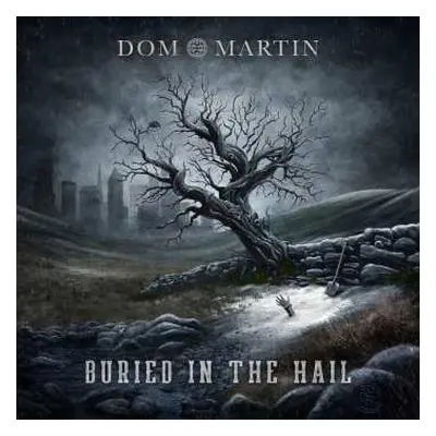 LP Dom Martin: Buried In The Hall