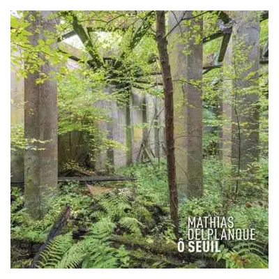 CD Mathias Delplanque: Ô Seuil