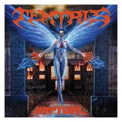 CD Temtris: Rapture DIGI