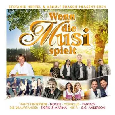 2CD Various: Wenn Die Musi Spielt