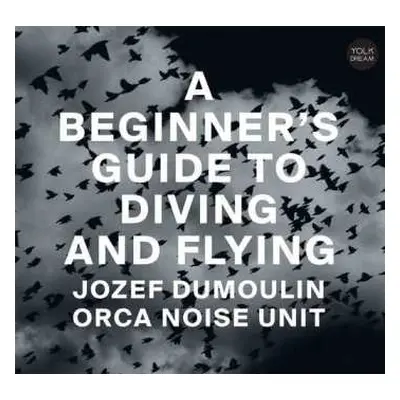 CD Jozef Dumoulin: A Beginner’s Guide To Diving And Flying