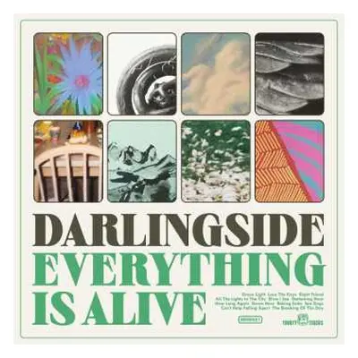 CD Darlingside: Everything Is Alive