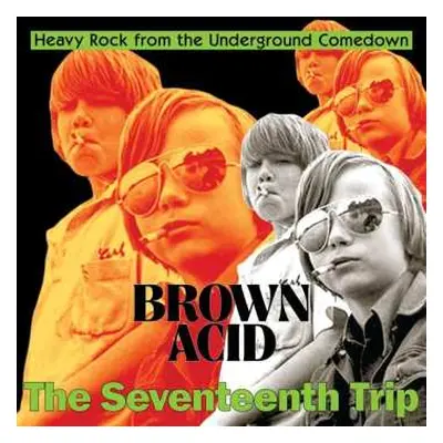 CD Various: Brown Acid: The 17th Trip