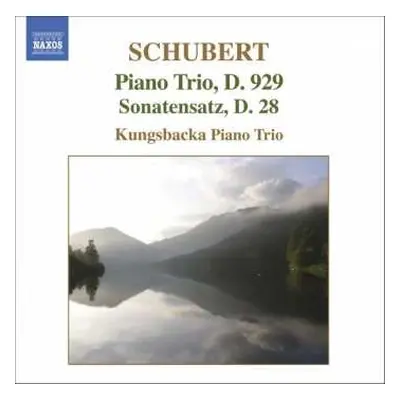 CD Franz Schubert: Piano Trio, D. 929 • Sonatensatz, D. 28