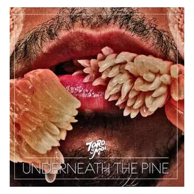 LP Toro Y Moi: Underneath The Pine