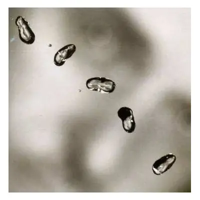 CD Peter Gabriel: Up