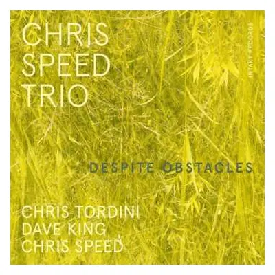 CD Chris Speed Trio: Despite Obstacles