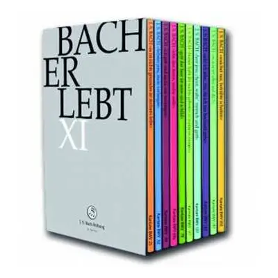 11DVD Johann Sebastian Bach: Bach-kantaten-edition Der Bach-stiftung St.gallen "bach Erlebt" - D