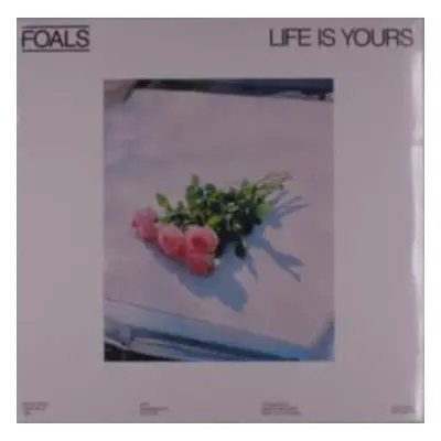 LP Foals: Life Is Yours CLR | LTD