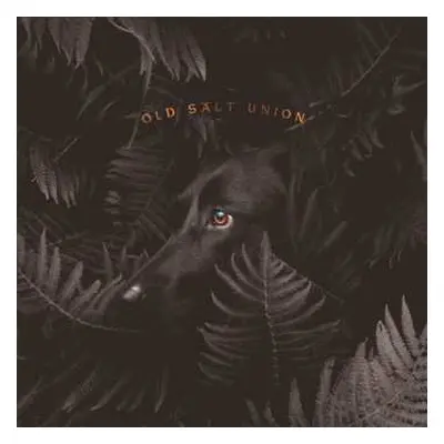 CD Old Salt Union: Where The Dogs Don't Bite