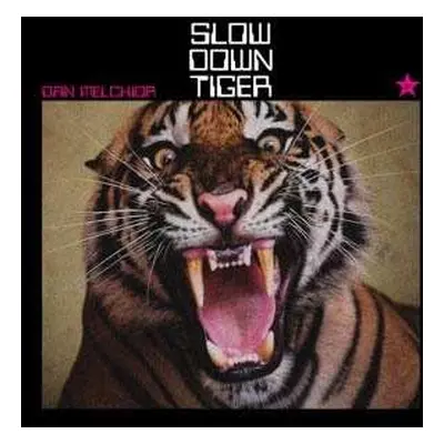 LP Dan Melchior: Slow Down Tiger