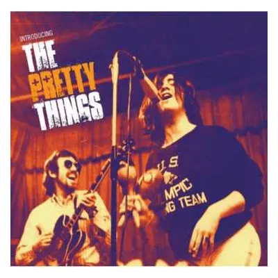 2CD The Pretty Things: Introducing The Pretty Things