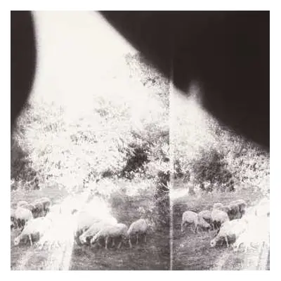 LP Godspeed You! Black Emperor: 'Asunder, Sweet and Other Distress'