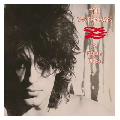 CD The Waterboys: A Pagan Place