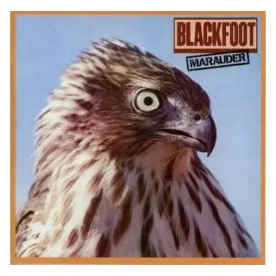 CD Blackfoot: Marauder DLX | LTD