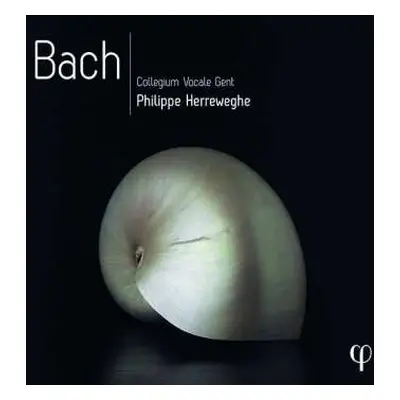 10CD/Box Set Johann Sebastian Bach: Bach