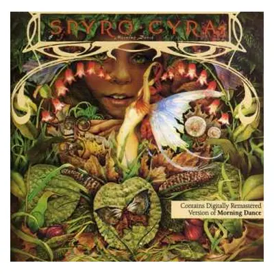 CD Spyro Gyra: Morning Dance