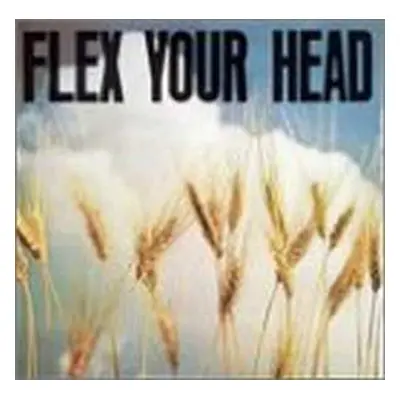 CD Various: Flex Your Head