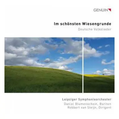 CD Various: Daniel Blumenschein - Im Schönsten Wiesengrunde