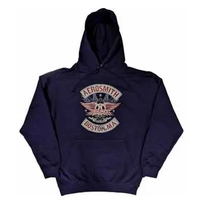 Aerosmith Unisex Pullover Hoodie: Boston Pride (small) S