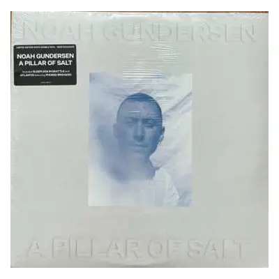 2LP Noah Gundersen: A Pillar of Salt CLR