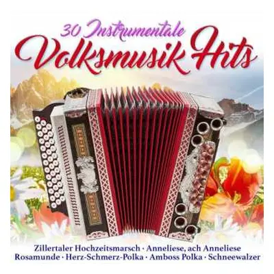 2CD Various: 30 Instrumentale Volksmusik-hits